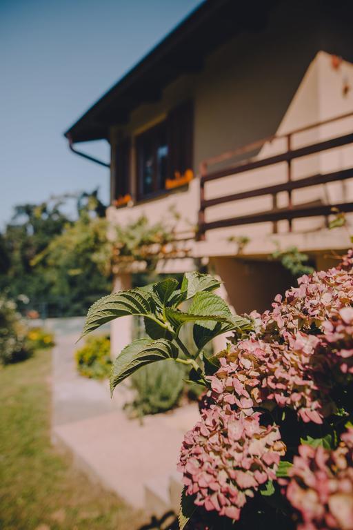 Holiday Home Castanea Praporcan Екстериор снимка